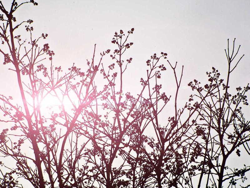 sudoku diagonal variant screenshot 2