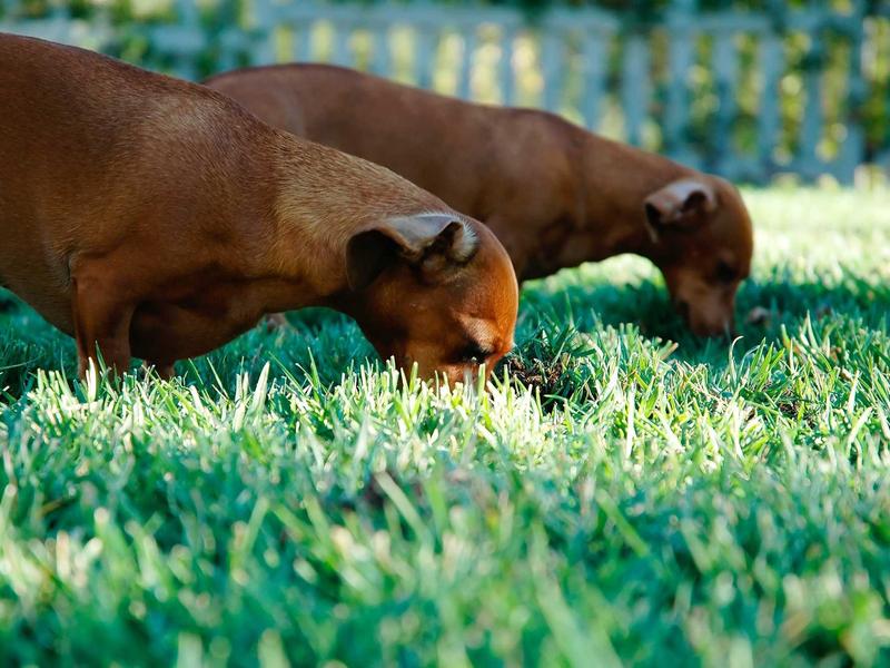 sudoku brain exercise