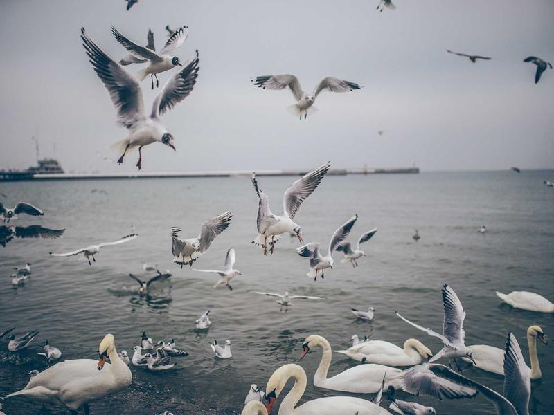 sudoku number placement screenshot 2