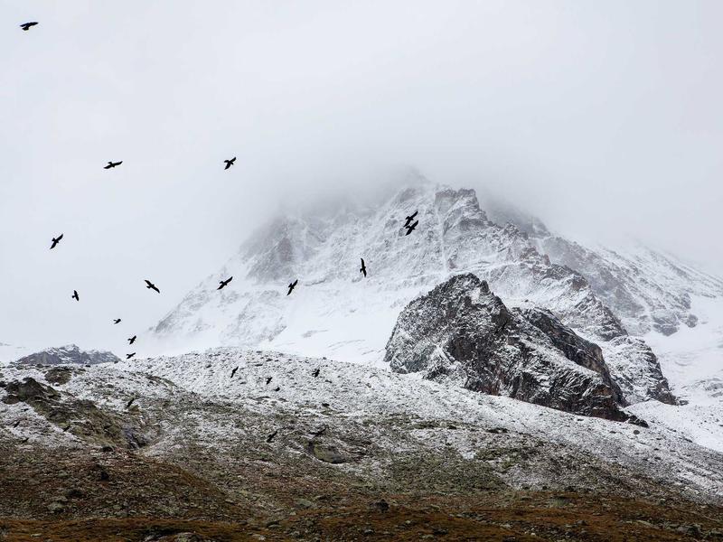 sudoku diagonal variant screenshot 6